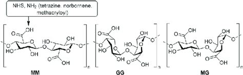 Structures of Alginate and its functionalization position. | Download ...