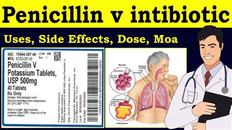 Penicillin v | Penicillin v | Antibiotic Drugs | mechanism | penicillin VK 500mg | Uses, Side ...