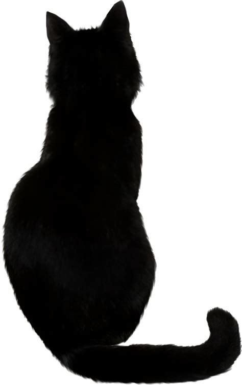 Cat PNG Images Transparent Free Download | PNGMart.com