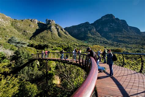 Gardens Cape Town South Africa Kirstenbosch Botanical Gardens - The Art ...