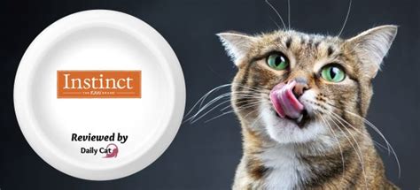 Instinct Cat Food Review - The Daily Cat