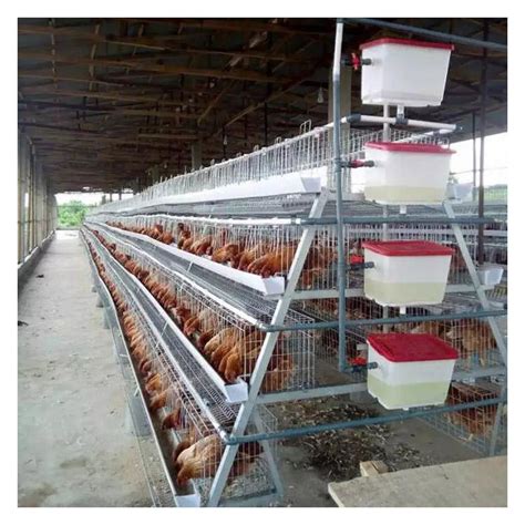 Animal & Poultry Husbandry Equipment Industry Reports for Alibaba.com