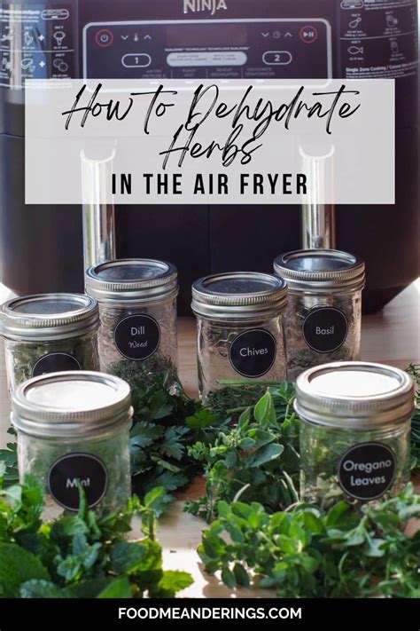 How to Dehydrate Herbs in the Air Fryer - Food Meanderings