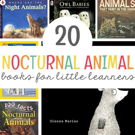 20 Nocturnal Animals Book List - Mrs. Jones Creation Station