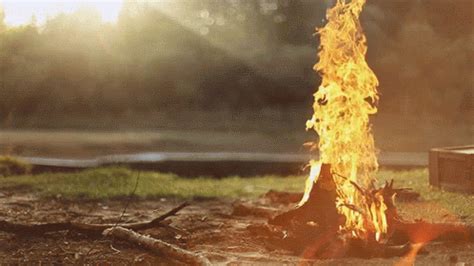 Flame Fire GIF - Flame Fire Outdoors - Discover & Share GIFs