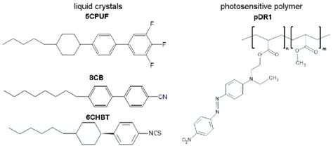 Structure of Liquid Crystal You Should Know