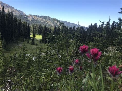 Sunrise Lake — Washington Trails Association