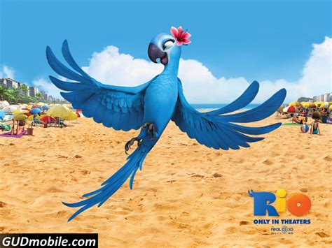 Rio Movie Wallpaper HD