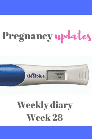 28 weeks pregnant - a weekly pregnancy update in the third trimester