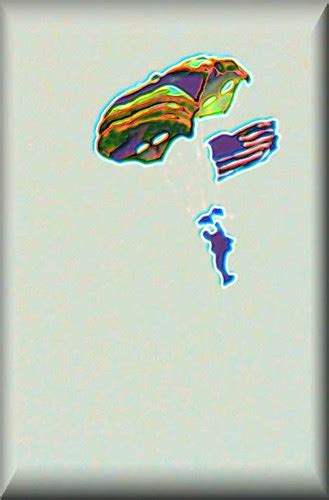 Parafoil USA FLAG Jumper | @ Jones Beach LI-NY Memorial Wken… | Flickr