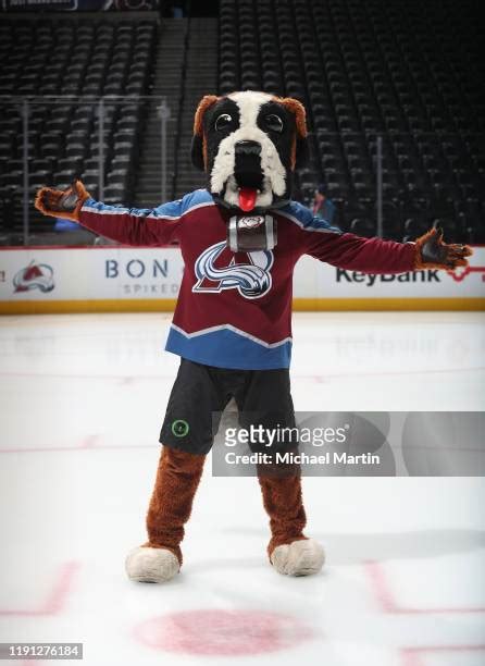 523 Colorado Avalanche Mascot Stock Photos, High-Res Pictures, and ...