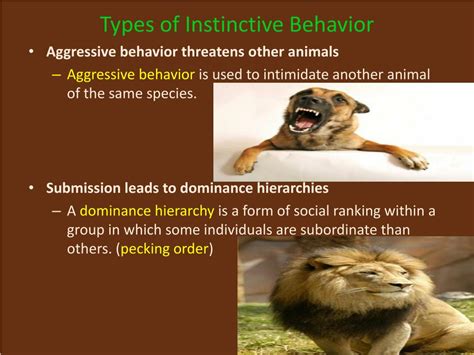 PPT - Animal Behavior PowerPoint Presentation, free download - ID:2739287