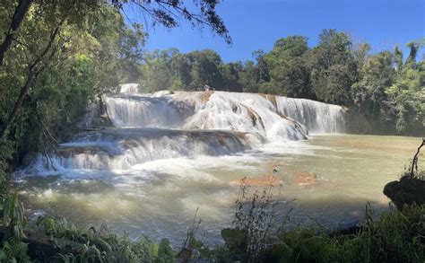 Visiting the Lacandon Jungle, Mexico: 4 Day Itinerary - Live, Wander, Play