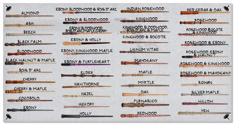 STEP ONE: CHOOSE A WOOD | Harry potter wand, Wand woods, Wands