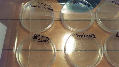 The Cool Science Dad: Science Fair Project - Growing Bacteria Day 1