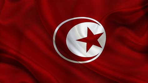 Tunisia Flag wallpaper | Tunisia flag, Flag, Wallpaper