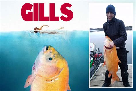 Fisherman reels in the ‘world’s biggest goldfish’ – a 100-year-old ...