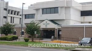 Clay County Jail Inmates | Florida Inmate Search