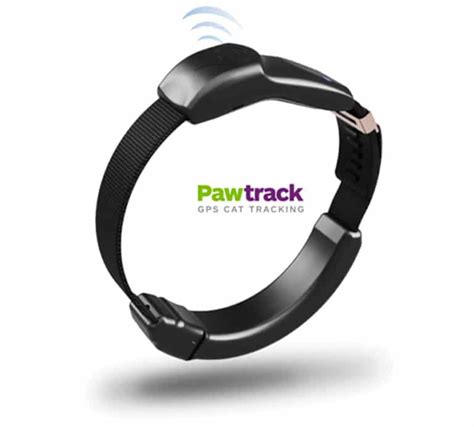 7 Best Cat Tracking Collars (2023) I Discerning Cat