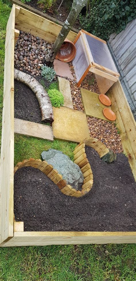 Tortoise Enclosure | Tortoise enclosure, Tortoise habitat, Outdoor ...