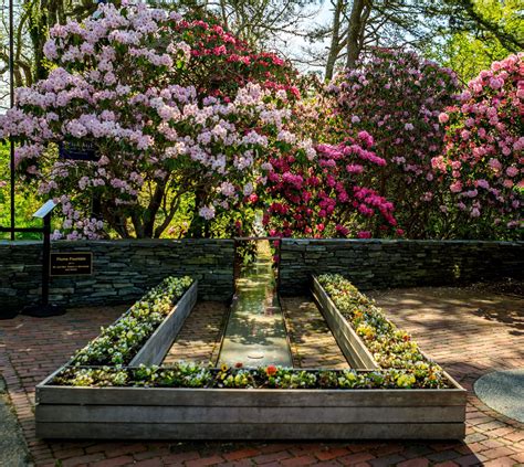 Rhododendron Festival - Heritage Museums & Gardens