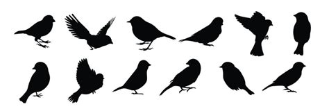 Bird Silhouette Clip Art Free