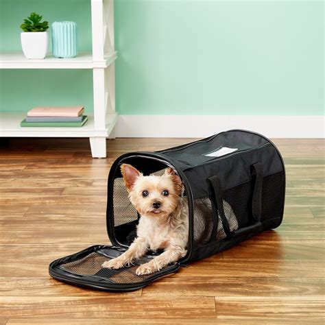 22 Chewy Dog Supplies That Every Pet Owner Needs