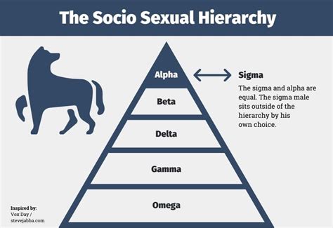 The Omega Male Explained: Understanding Society's Reject