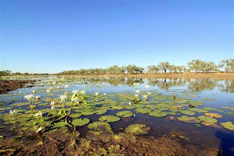 CAMOOWEAL ROADHOUSE: 2024 Reviews - Photos of Guesthouse - Tripadvisor