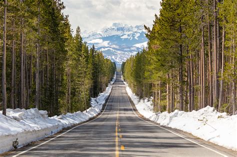 Weather-permitting, South Entrance and select roads in Yellowstone National Park to open May 14 ...