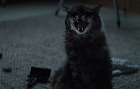 Check out the terrifying new trailer for Pet Sematary