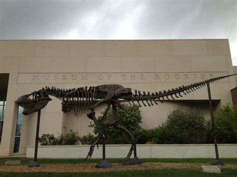 Museum of the Rockies | Rocky, Museum, Bozeman