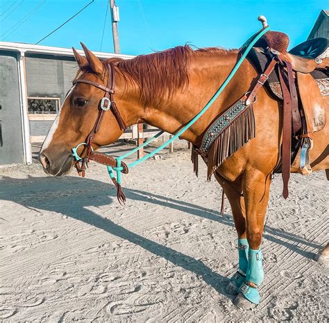 Quick Tack Tips for Western Riders