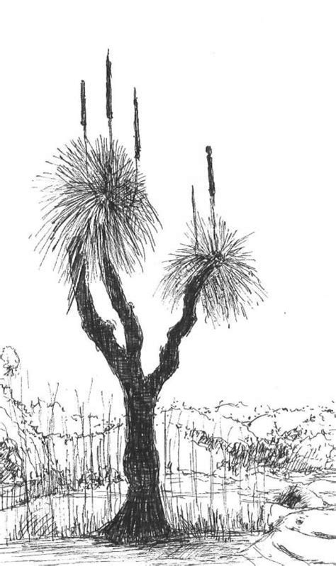 http://www.wetcanvas.com/Community/images/25-Jun-2013/1068812-grass_tree_2.JPG | Tree drawing ...