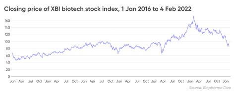 Best biotech stocks: Which companies have growth potential?