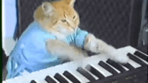 Keyboard GIF - Find & Share on GIPHY