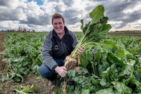 Bayer's #Beet150 competition winners announced - Crop Production Magazine