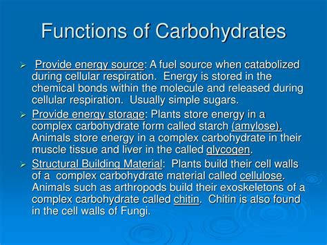 PPT - Macromolecules: Carbohydrates, Lipids, Proteins and Nucleic Acids PowerPoint Presentation ...