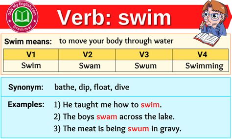 Swim Verb Forms - Past Tense, Past Participle & V1V2V3