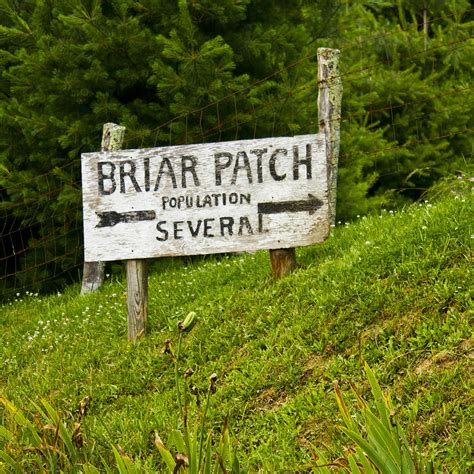 Welcome to Briar Patch Photograph by JT ONeal - Fine Art America