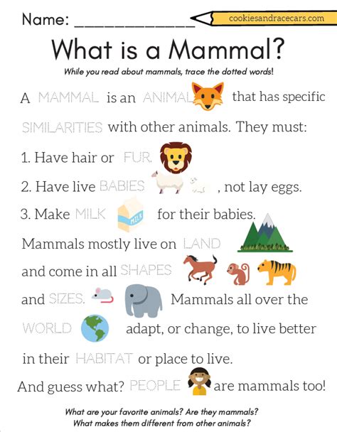 Mammals Characteristics Worksheet