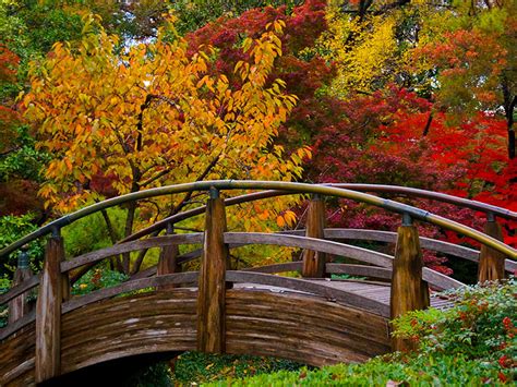 Arboretum Dallas Fort Worth - Iwanna Fly