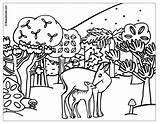 Forest Coloring Page For Children  Home sketch template