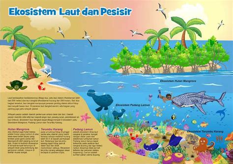 Jenis Jenis Peta Konsep Ekosistem Laut Dangkal Imagesee - IMAGESEE