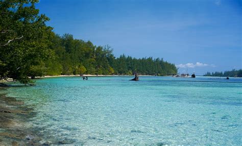 Peleliu Island When A South Pacific Paradise Island Became Hell On Earth During WW2. - Unusual ...