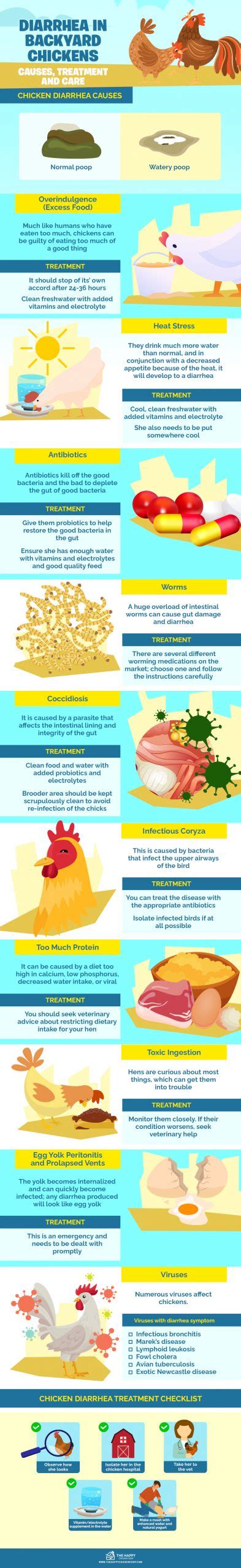 Diarrhea in Backyard Chickens: Causes, Treatment and Care