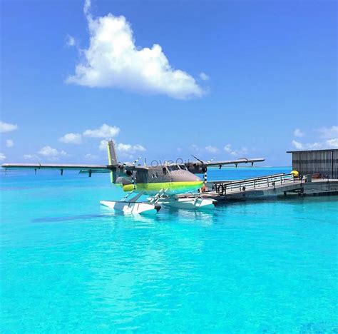 Maldives Holiday Island Picture And HD Photos | Free Download On Lovepik