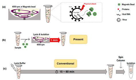 Diagnostics | Free Full-Text | Rapid Extraction of Viral Nucleic Acids Using Rotating Blade ...