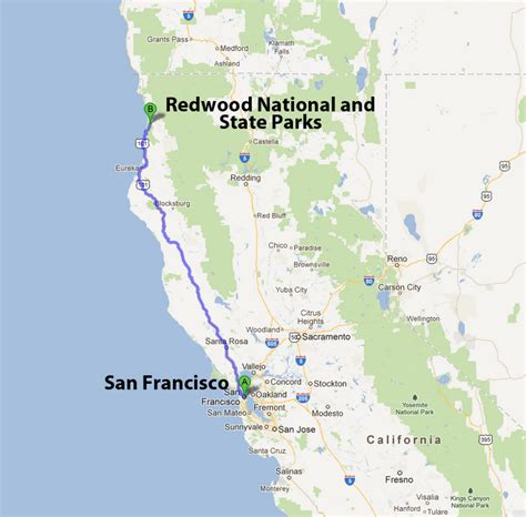 Redwood National and State Parks | Laure and Quarup: Redwood National and State Parks | Redwood ...