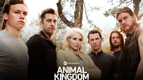 Animal Kingdom Season 6 Release Date, and Everything You Need To Know - TheRecentTimes